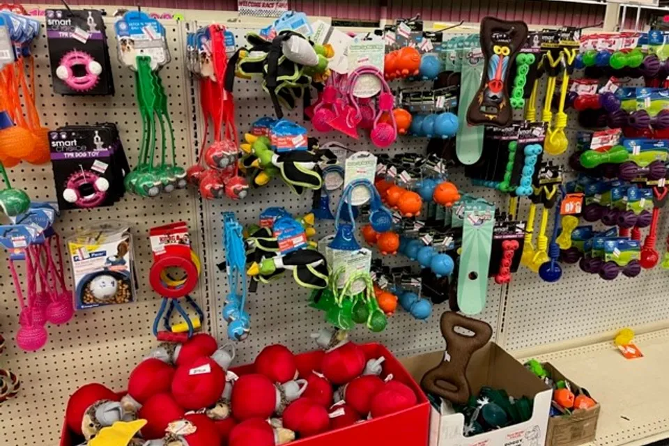 Aisle of pet supplies